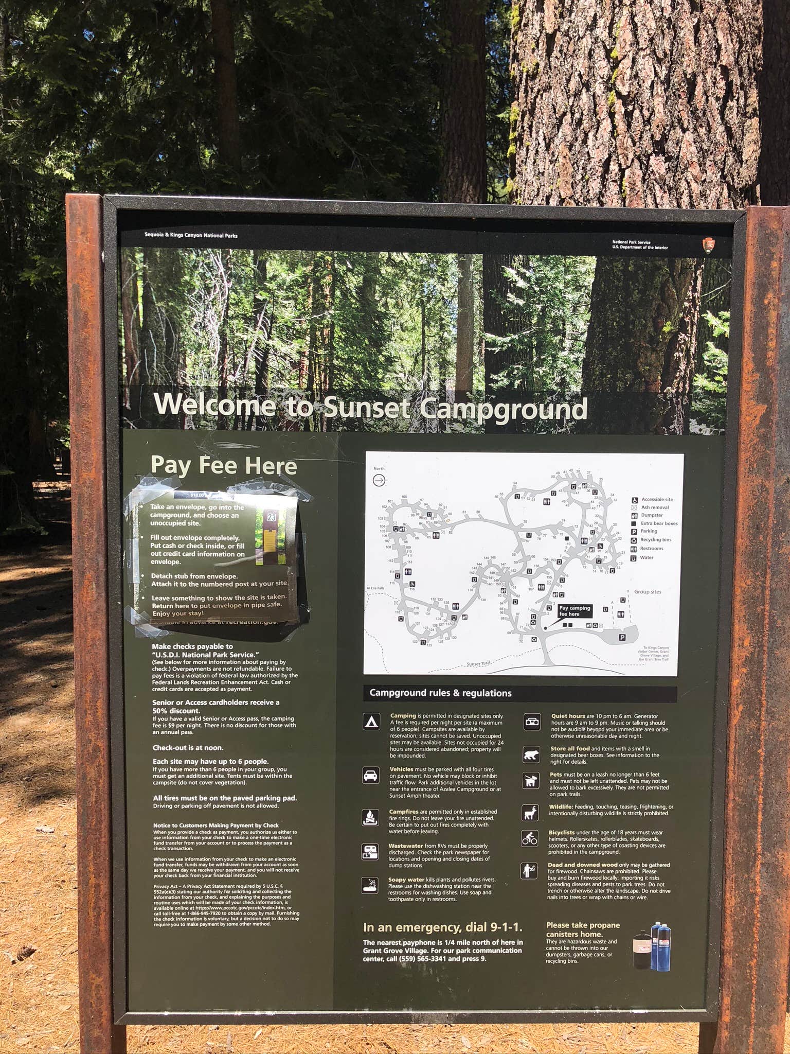 Camper submitted image from Sunset Campground — Kings Canyon National Park - 4