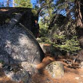 Review photo of Sunset Campground — Kings Canyon National Park by Robert S., July 13, 2021