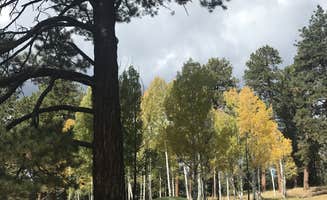 Lena L.'s photo at North Rim Campground (Closed for Remainder of 2025)— Grand Canyon National Park near North Rim, AZ