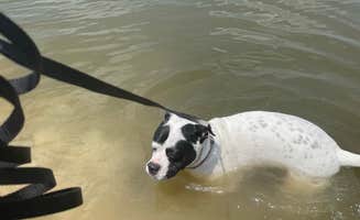 Tanner P.'s photo of camping with pets at Watkins Mill State Park Campground near Excelsior Springs, MO