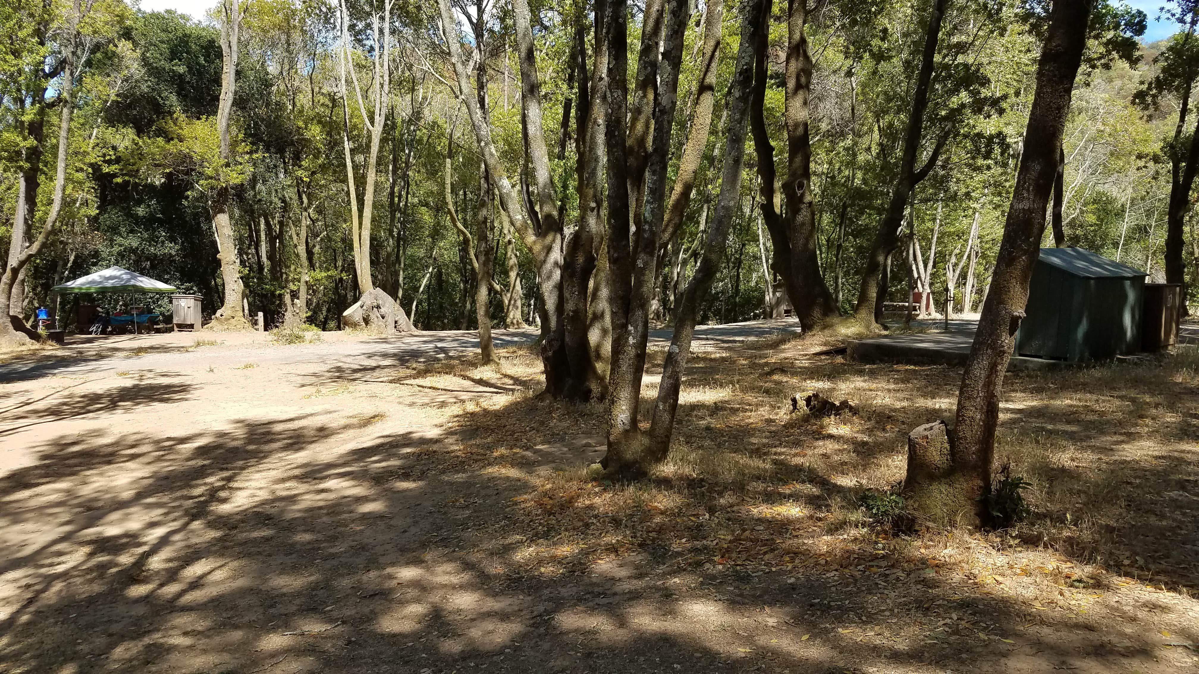 Camper submitted image from China Camp Campground - 3