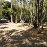 Review photo of China Camp Campground by Kristen S., July 13, 2021