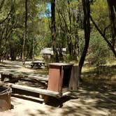 Review photo of China Camp Campground by Kristen S., July 13, 2021