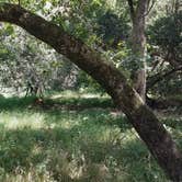 Review photo of China Camp Campground by Kristen S., July 13, 2021