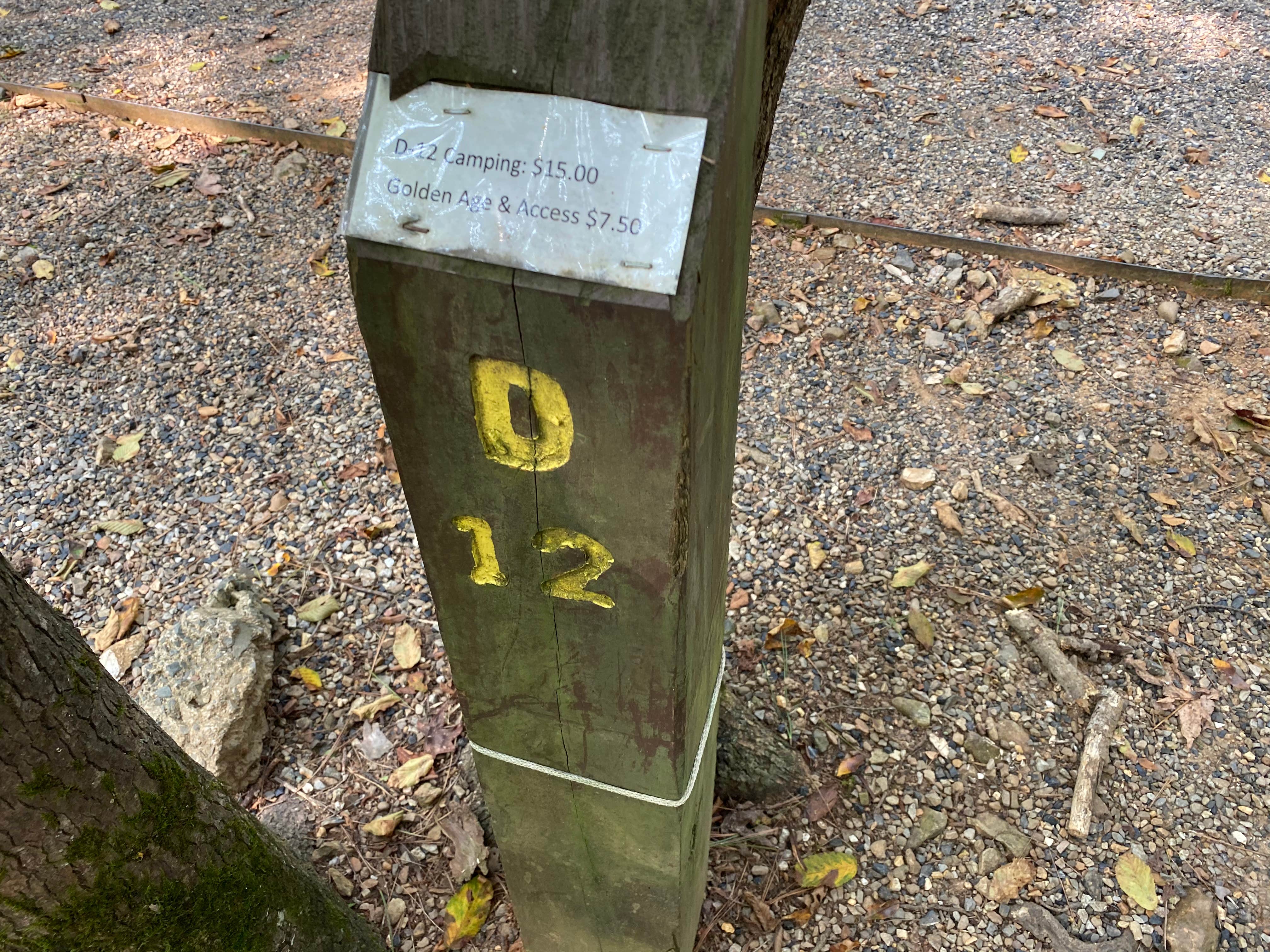 Camper-submitted photo at Shady Lake Campground near Gillham Lake