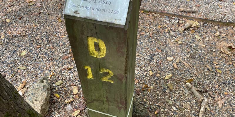 Camper submitted image from Shady Lake Campground