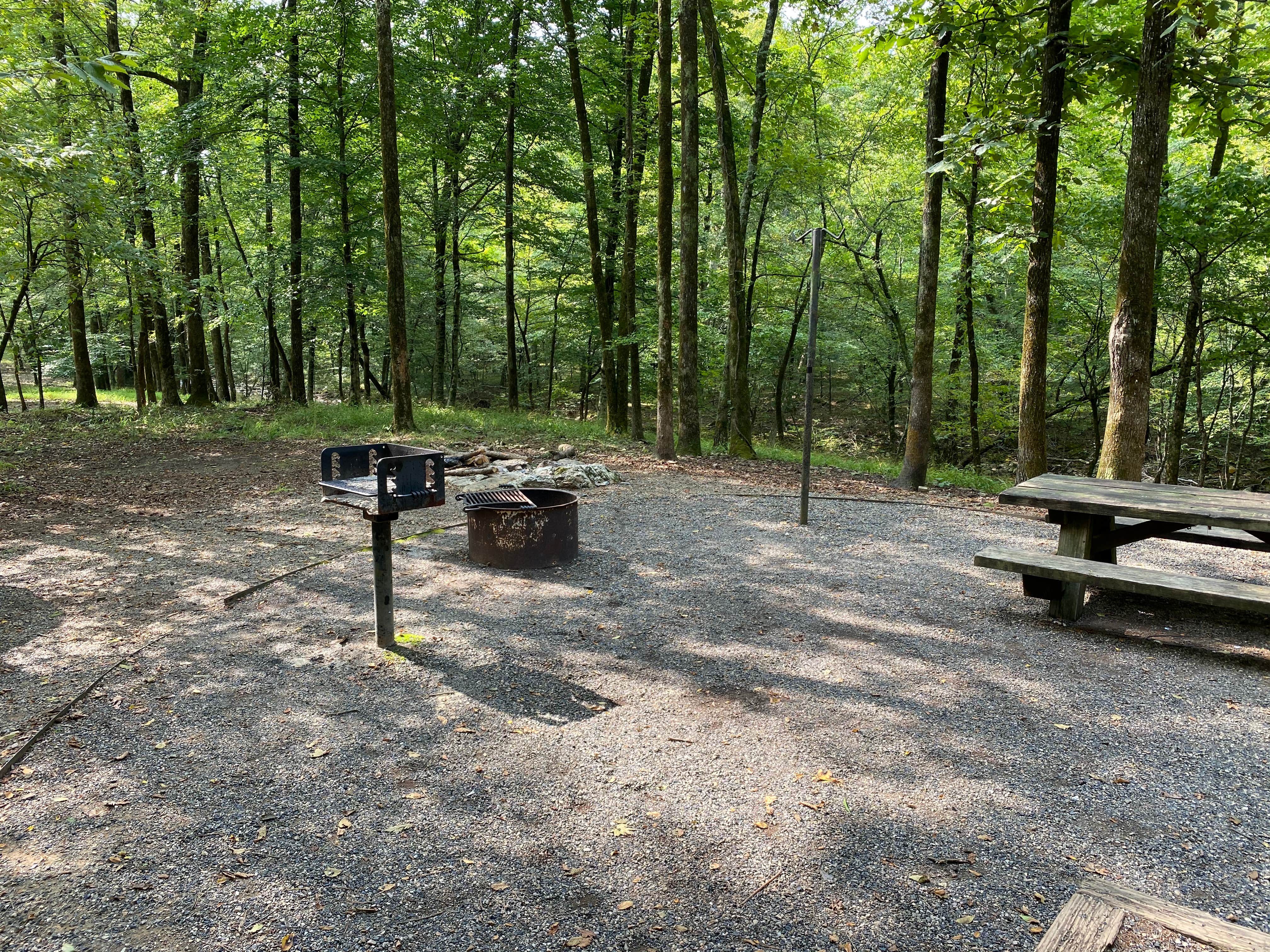Camper submitted image from Shady Lake Campground - 4