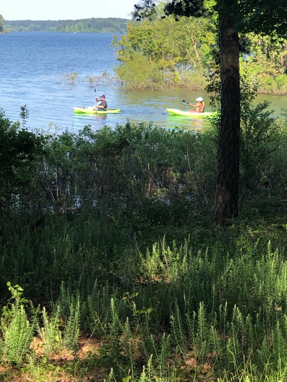 Camper submitted image from Jefferson Ridge - Dierks Lake - 3