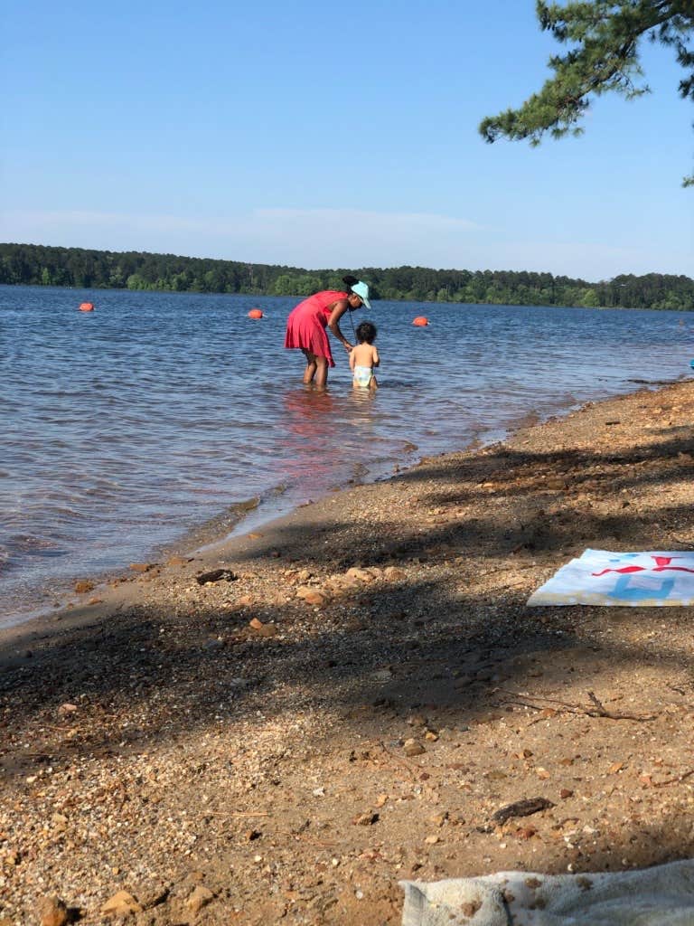 Camper submitted image from Jefferson Ridge - Dierks Lake - 5