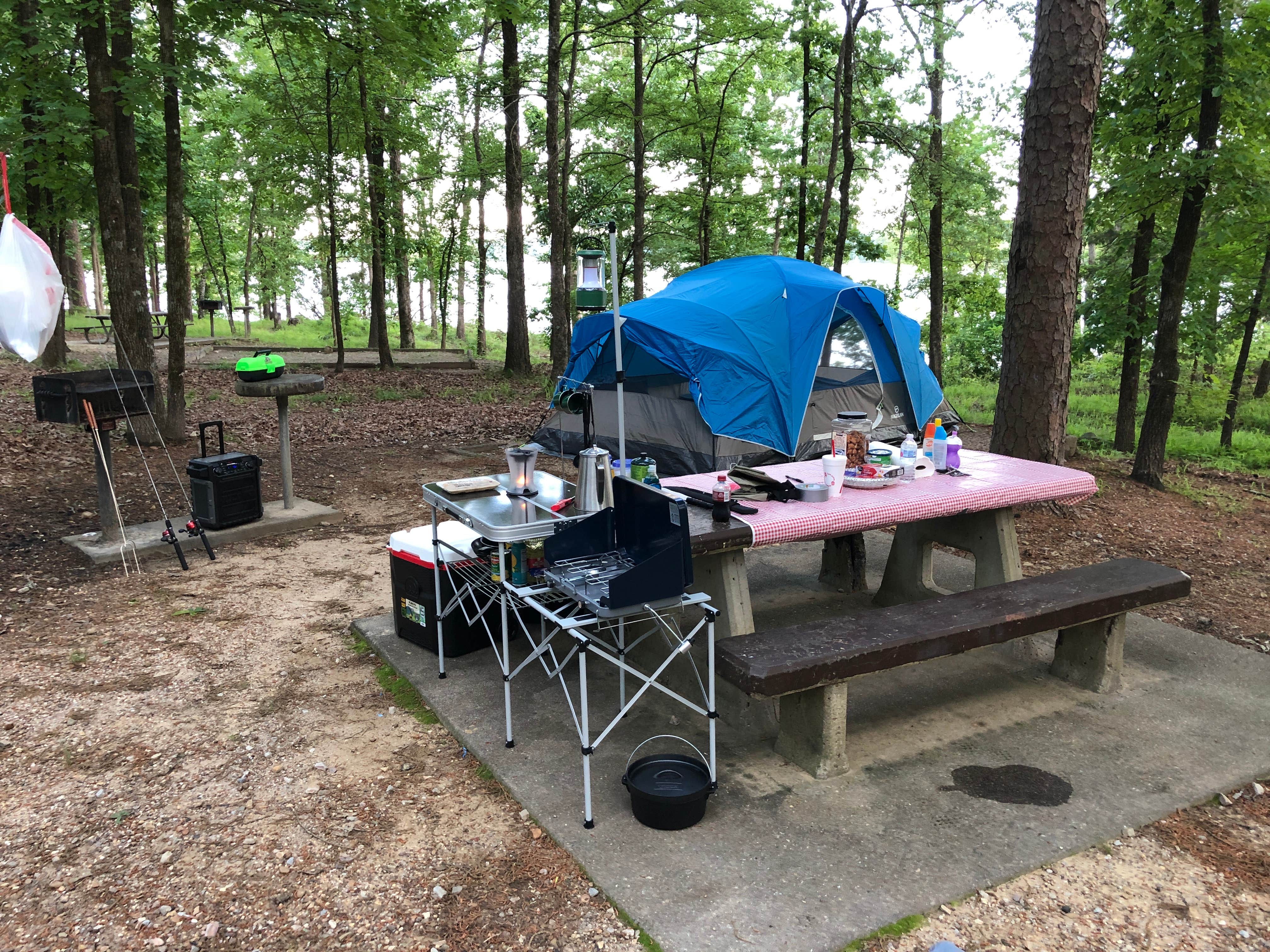 J.R. B.'s photo at Jefferson Ridge - Dierks Lake near Gillham Lake
