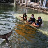 Review photo of Key Largo Kampground & Marina by JEFFREY W., July 13, 2021