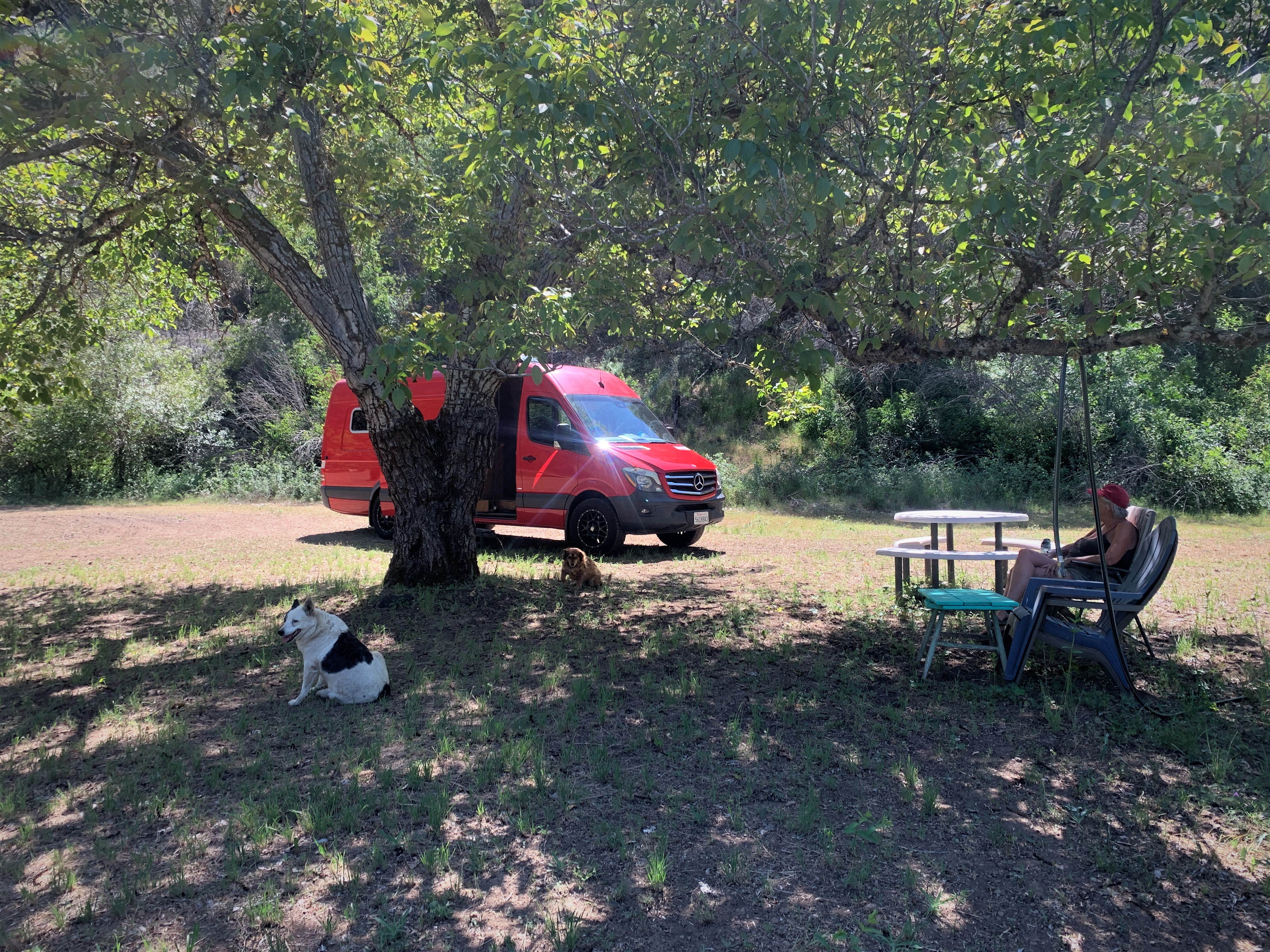 Camper submitted image from Old Train Caboose - 4