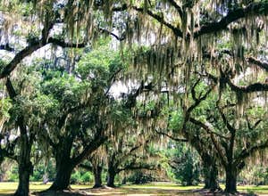 Fontainebleau State Park Campground