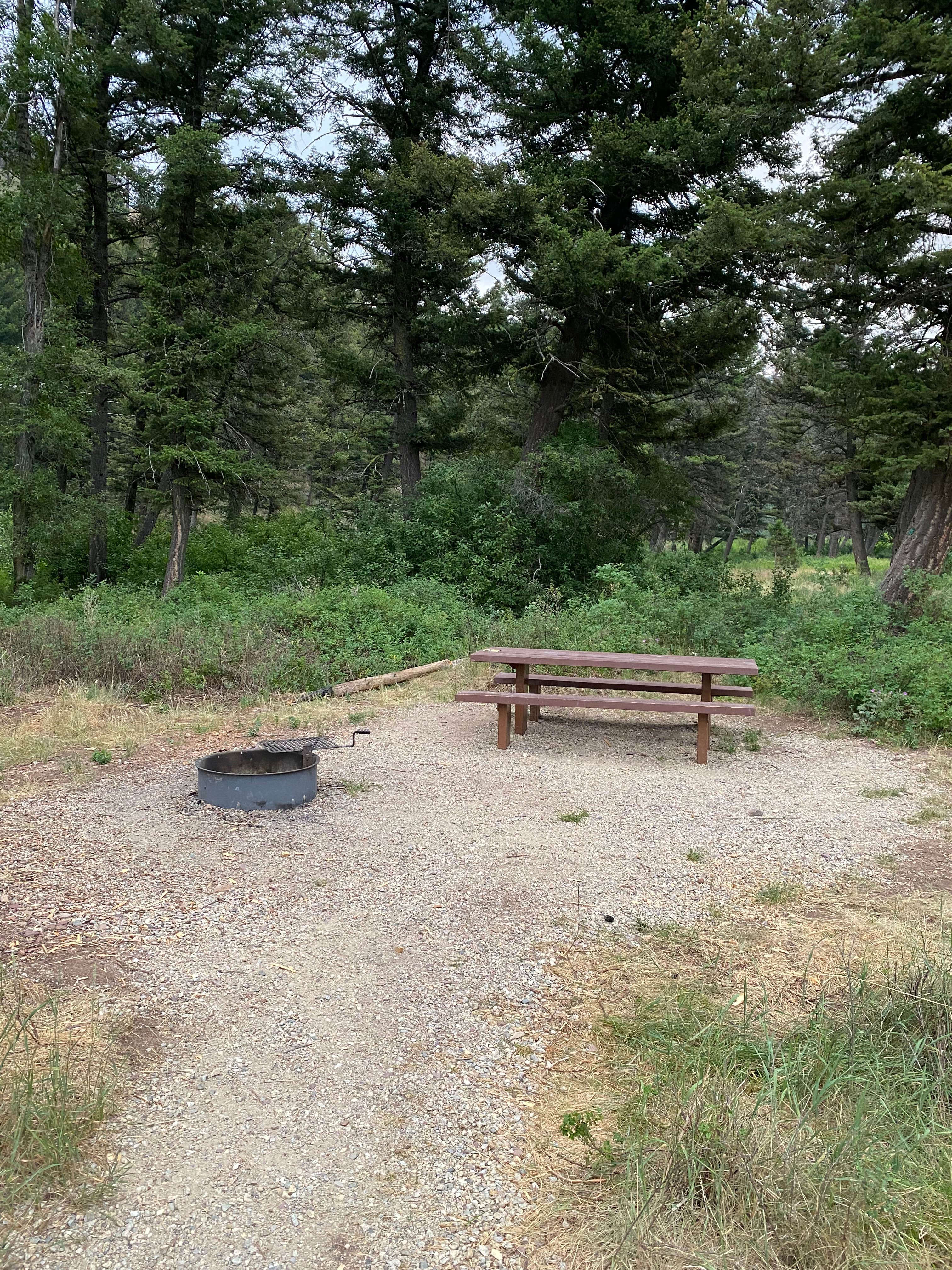 Camper submitted image from Flint Creek Campground - 1