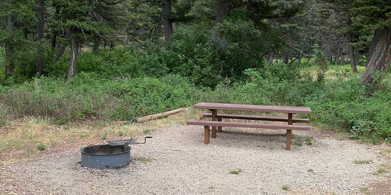 Camper submitted image from Flint Creek Campground