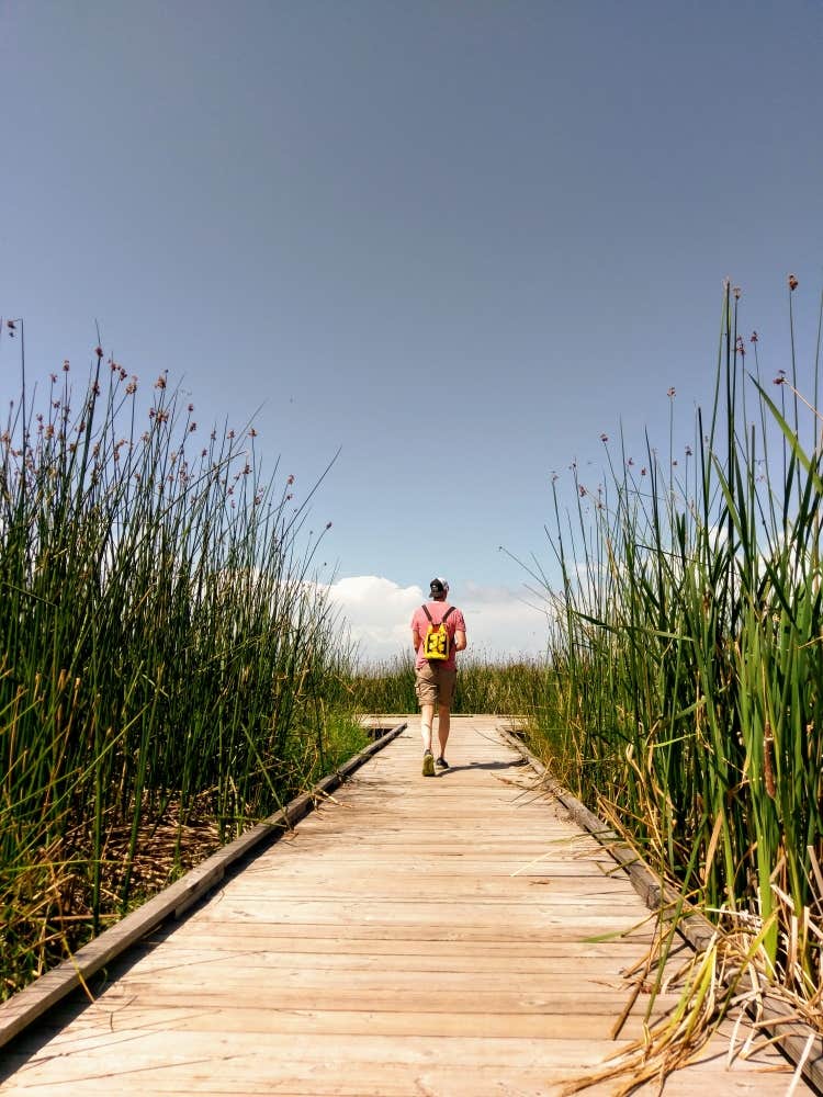 Fontainebleau State Park Campground