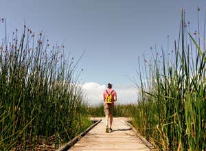 Fontainebleau State Park Campground