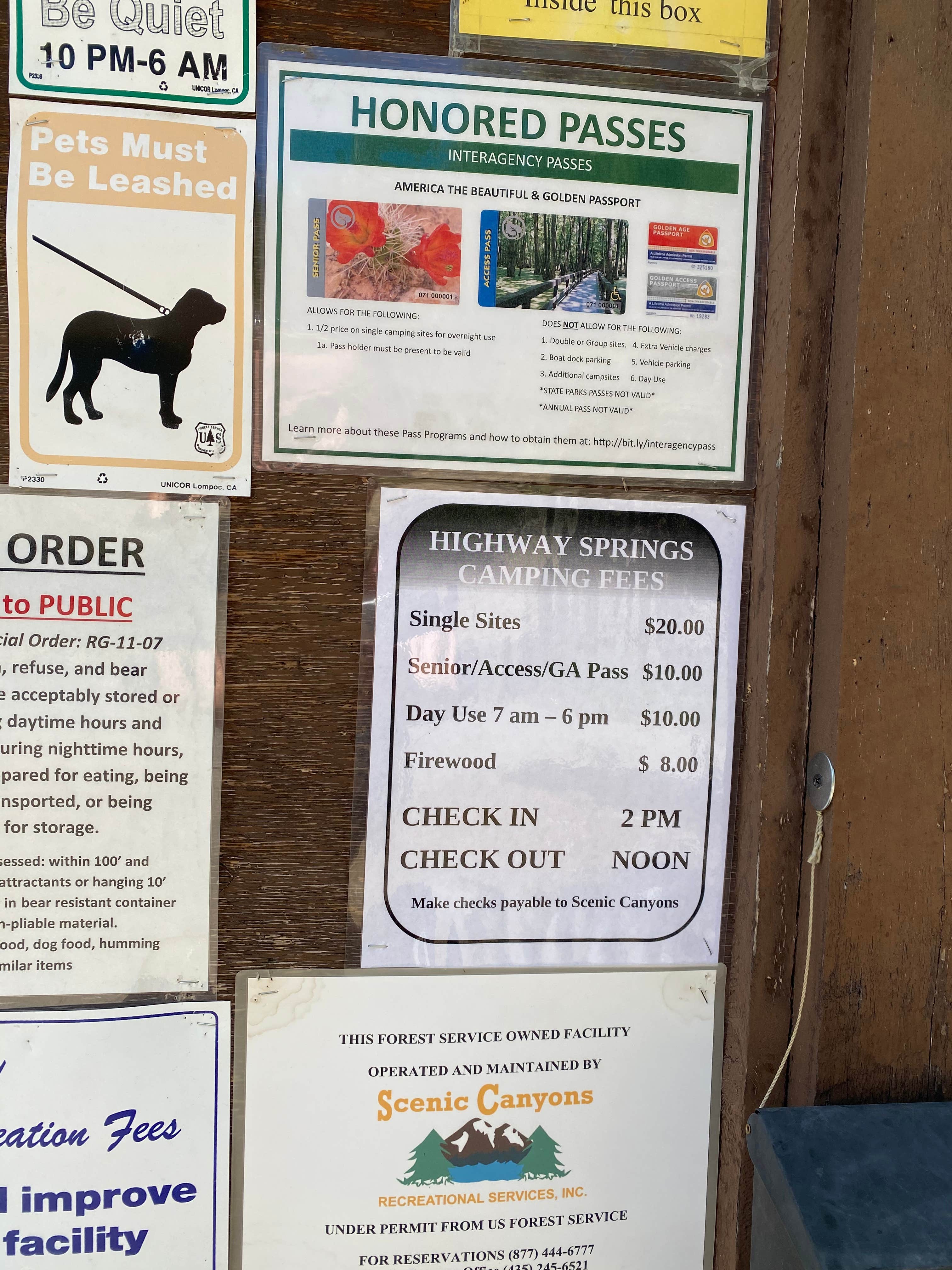Annie C.'s photo of camping with pets at Highway Springs Campground near Rio Grande National Forest