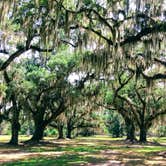 Review photo of Fontainebleau State Park Campground by Nicki M., June 14, 2018