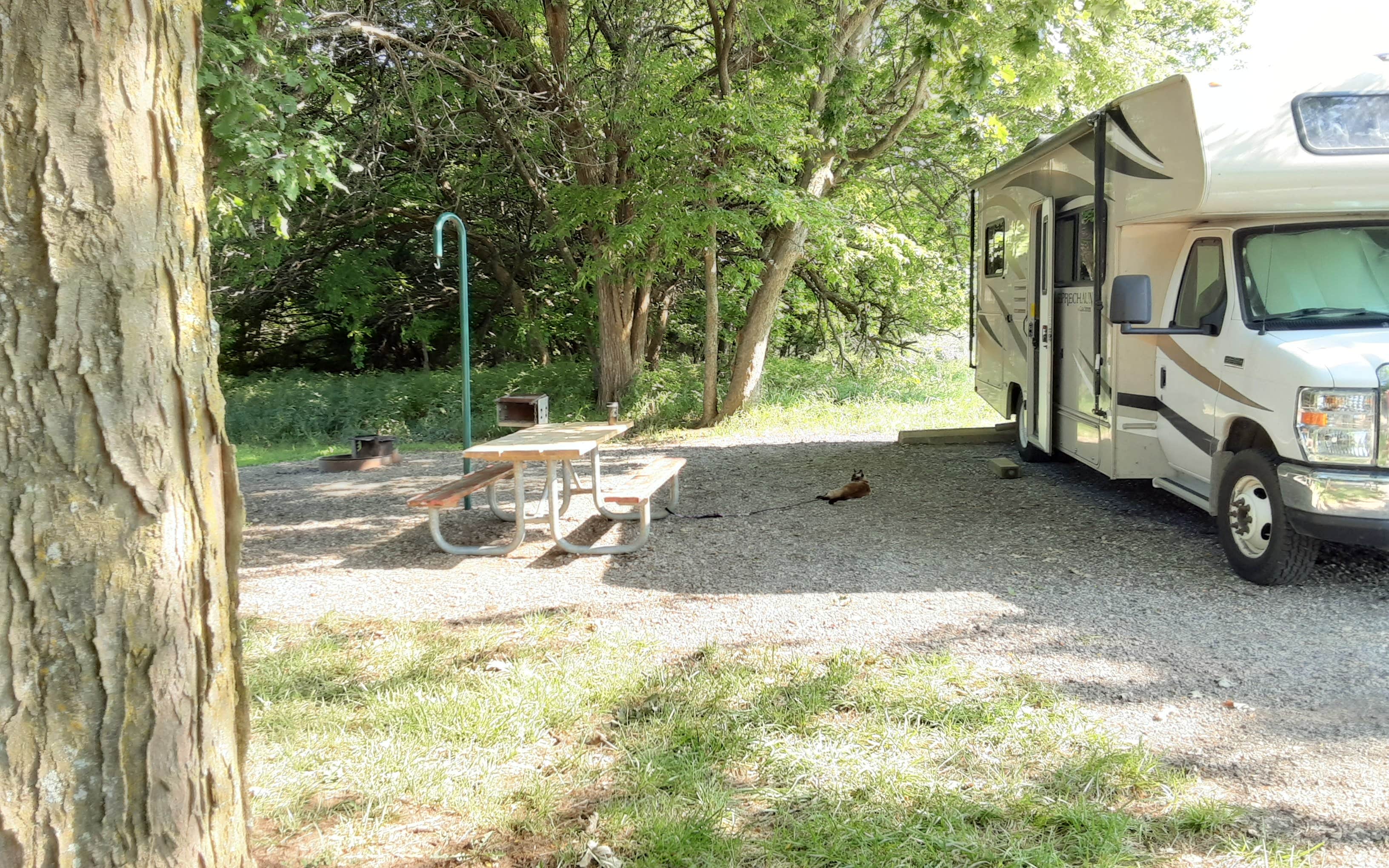 Patwoman B.'s photo of rv camping at Bloomington East - Clinton Lake near Ottawa, KS