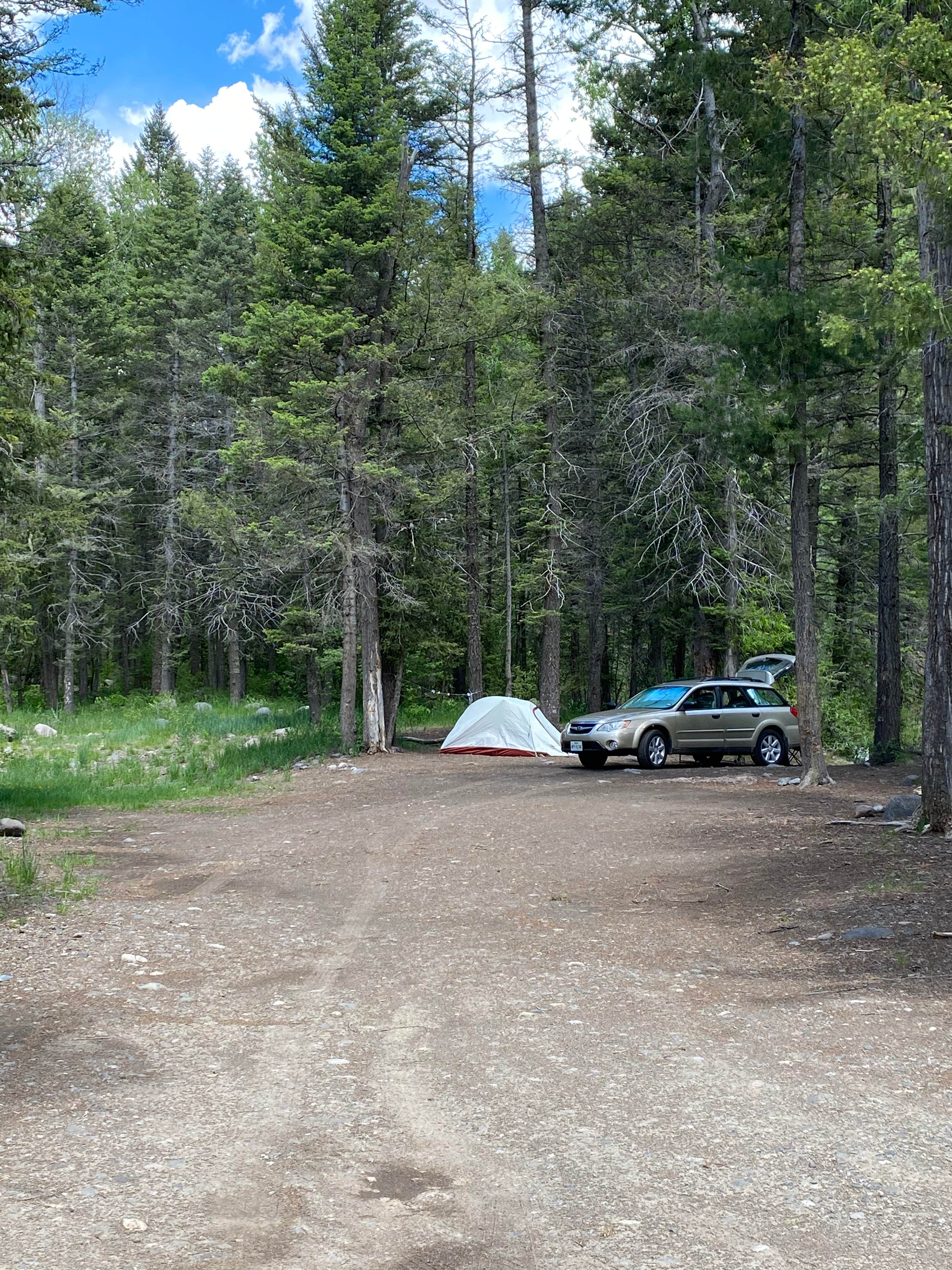 Annie C.'s photo at West Fork Dispersed near Pagosa Springs, CO