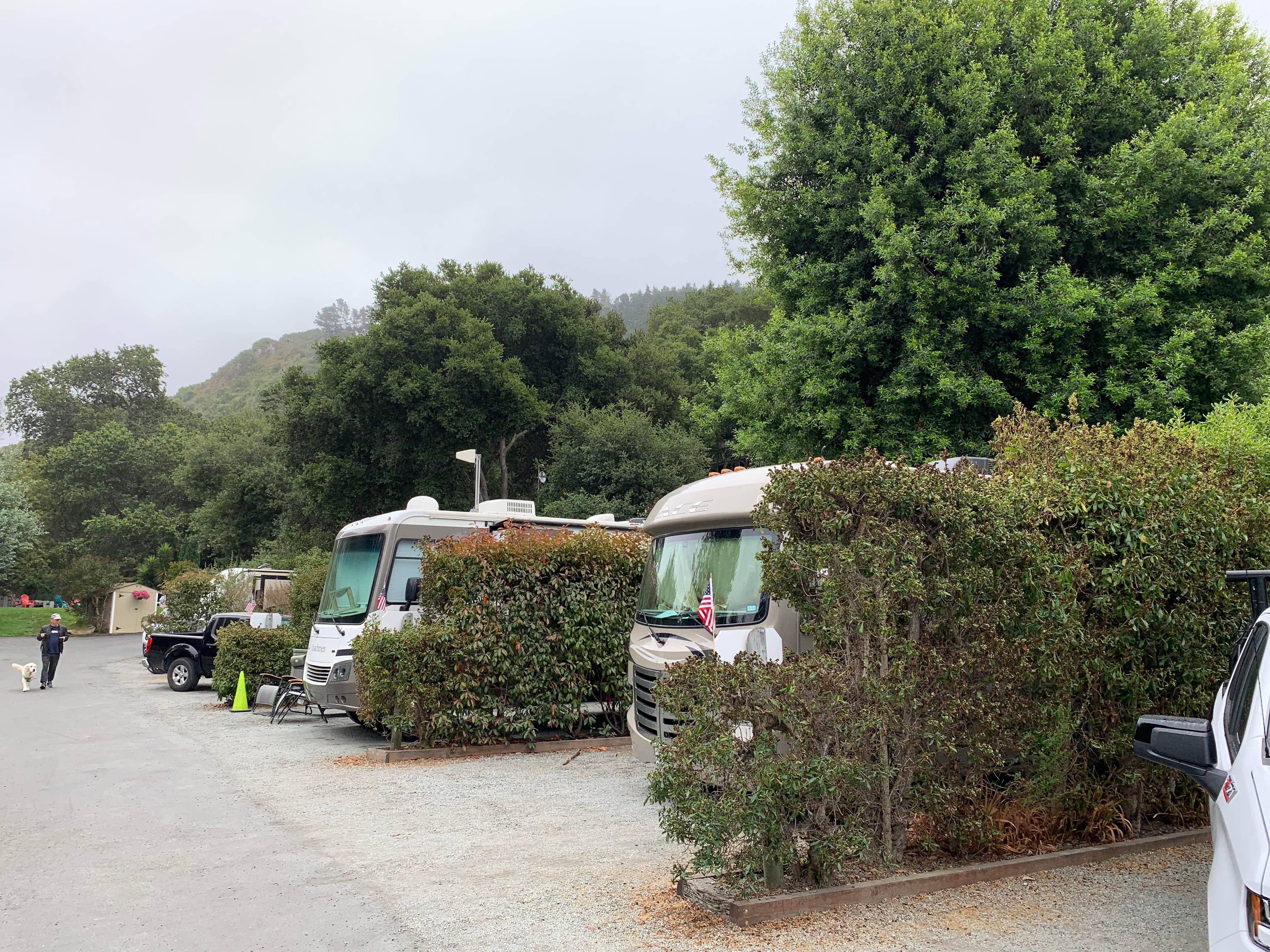Steve's photo of rv camping at Carmel by the River RV Park near Fort Hunter Liggett, CA