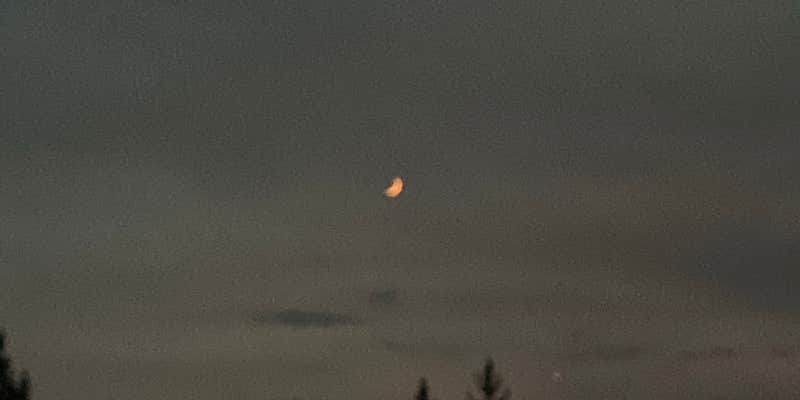 Camper submitted image from Roaring Fork Campground