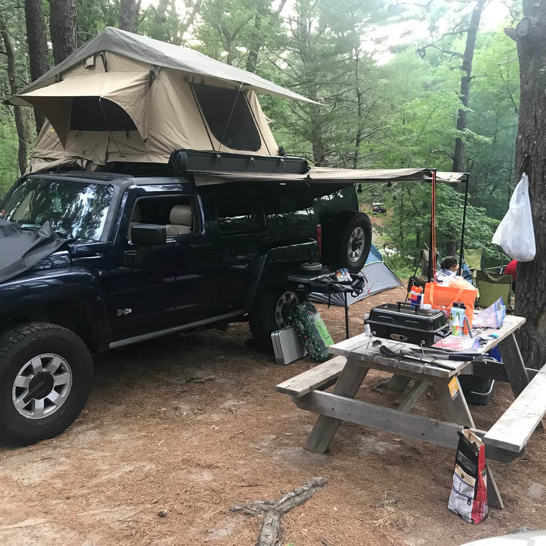 Curlew Pond Campground — Myles Standish State Forest | South Carver, MA