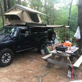 Review photo of Curlew Pond Campground — Myles Standish State Forest by Roberto  A., July 13, 2021