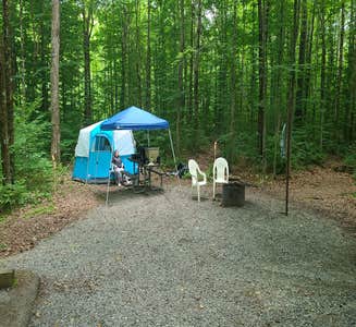 Camper-submitted photo from Holly River State Park Campground