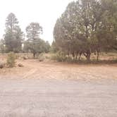 Review photo of Forest Service Road 328 Dispersed by Kendrick , July 13, 2021