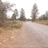 Review photo of Forest Service Road 328 Dispersed by Kendrick , July 13, 2021