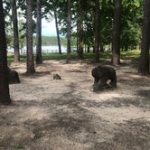 Review photo of Bear Lake Campground by Dale W., July 13, 2021