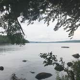 Review photo of Cranberry Lake - DEC by Jennifer P., June 14, 2018