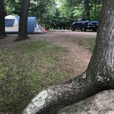 Review photo of Cranberry Lake - DEC by Jennifer P., June 14, 2018