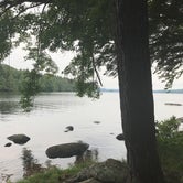 Review photo of Cranberry Lake  - DEC by Jennifer P., June 14, 2018