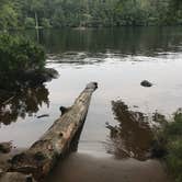 Review photo of Cranberry Lake - DEC by Jennifer P., June 14, 2018