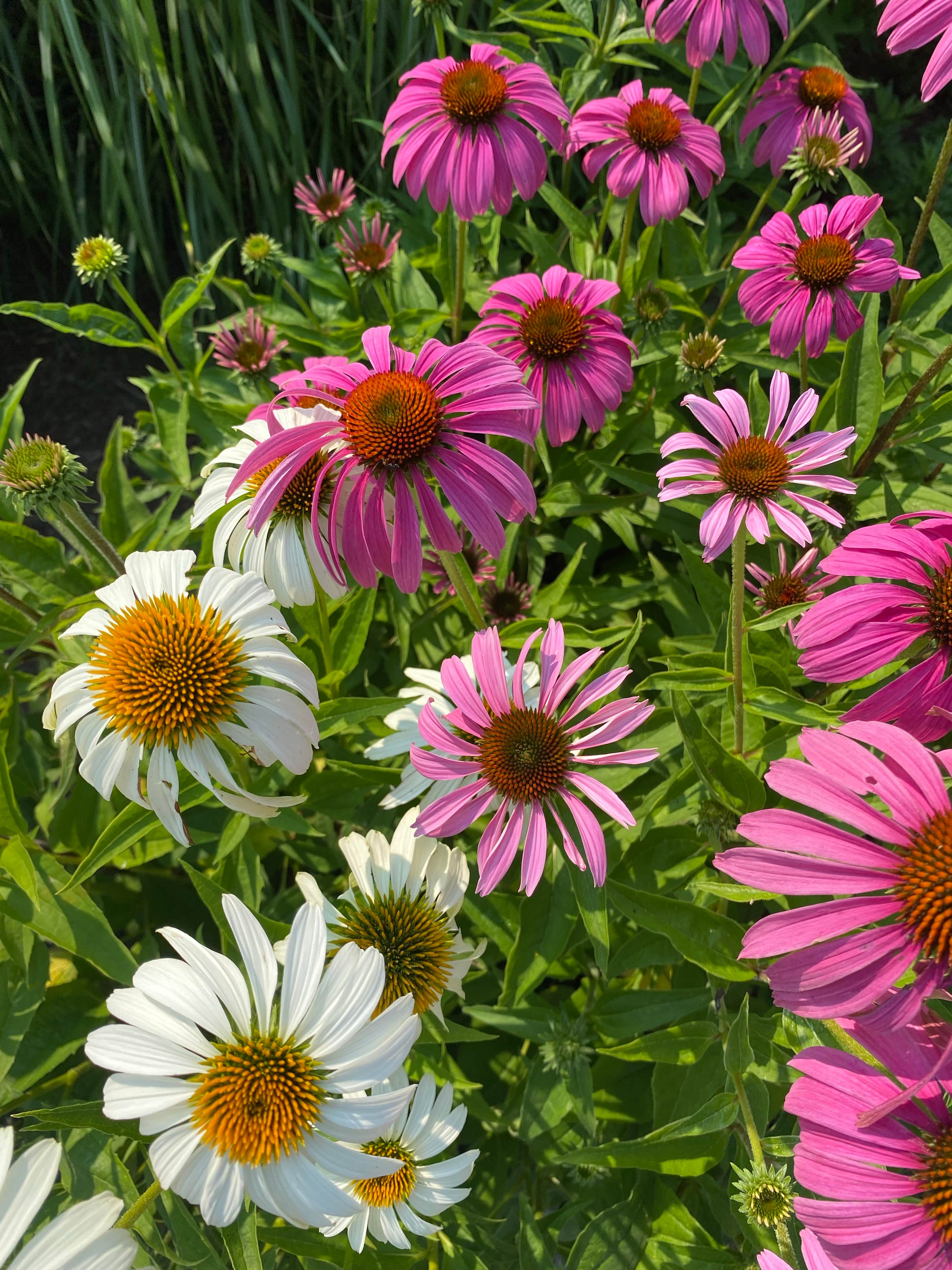 Camper-submitted photo at Susquehannock near Saxton, PA