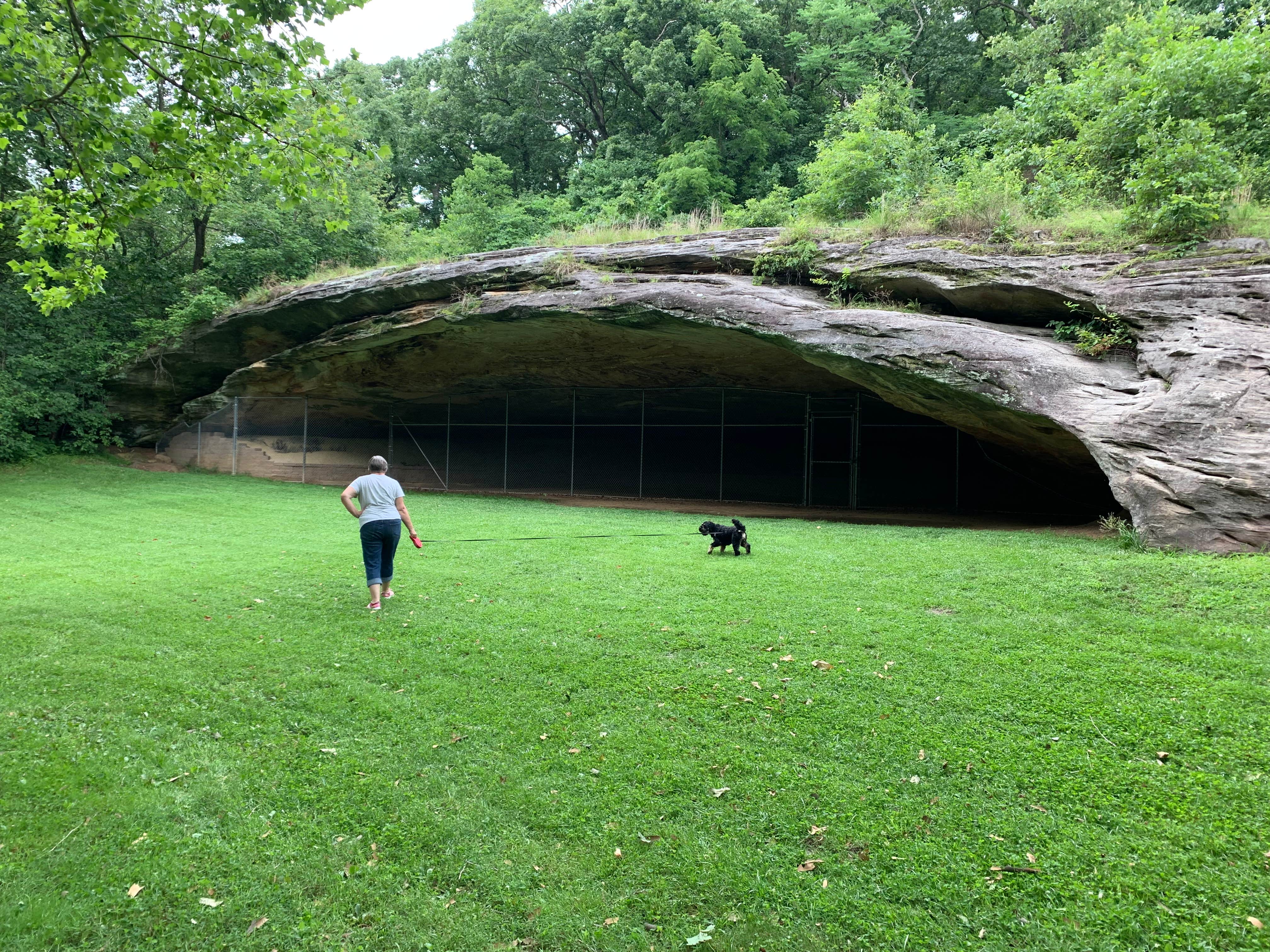 Michael N.'s photo of camping with pets at Graham Cave State Park Campground near Mexico, MO