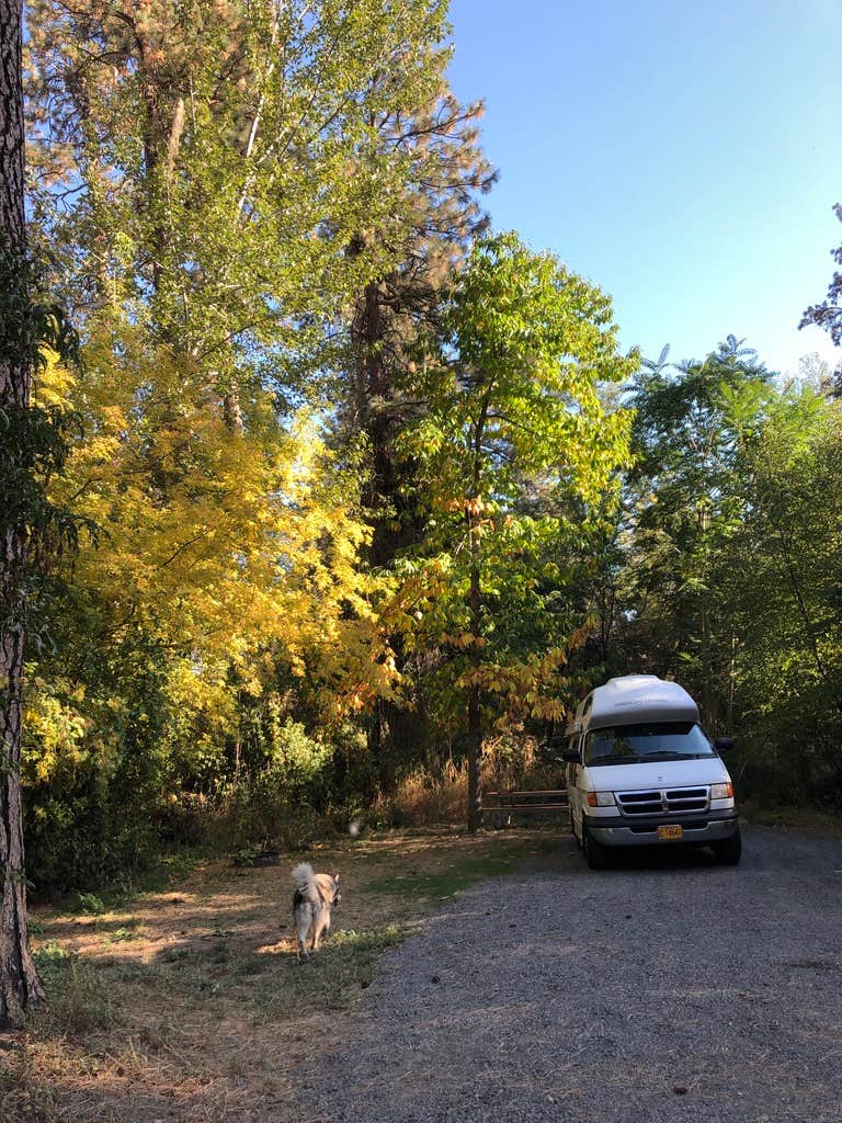 Camper submitted image from Lewis & Clark Trail State Park Campground - 1