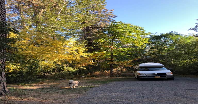 Lewis Clark Trail State Park Campground Dayton WA