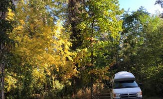 Kathy B.'s photo of camping with pets at Lewis & Clark Trail State Park Campground near Bennington Lake
