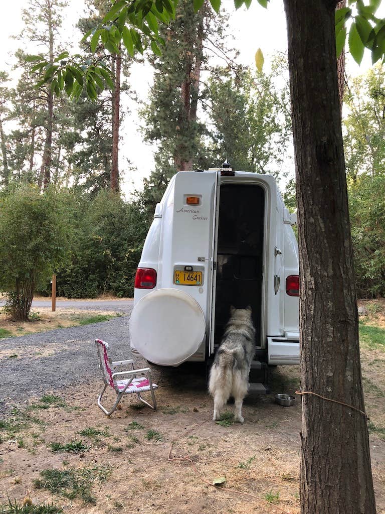 Kathy B.'s photo of camping with pets at Lewis & Clark Trail State Park Campground near Milton-Freewater, OR