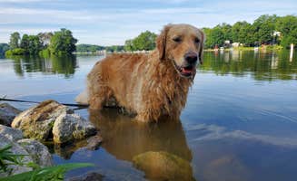 George's photo of camping with pets at Guilford Lake State Park Campground near Michael J Kirwan Lake
