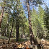 Review photo of Cottonwood Campground by S K., July 13, 2021