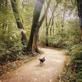 Review photo of Hawthorn County Park by Bianca R., July 13, 2021