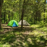 Review photo of Group Campground — Ferne Clyffe State Park by Aaron B., July 13, 2021