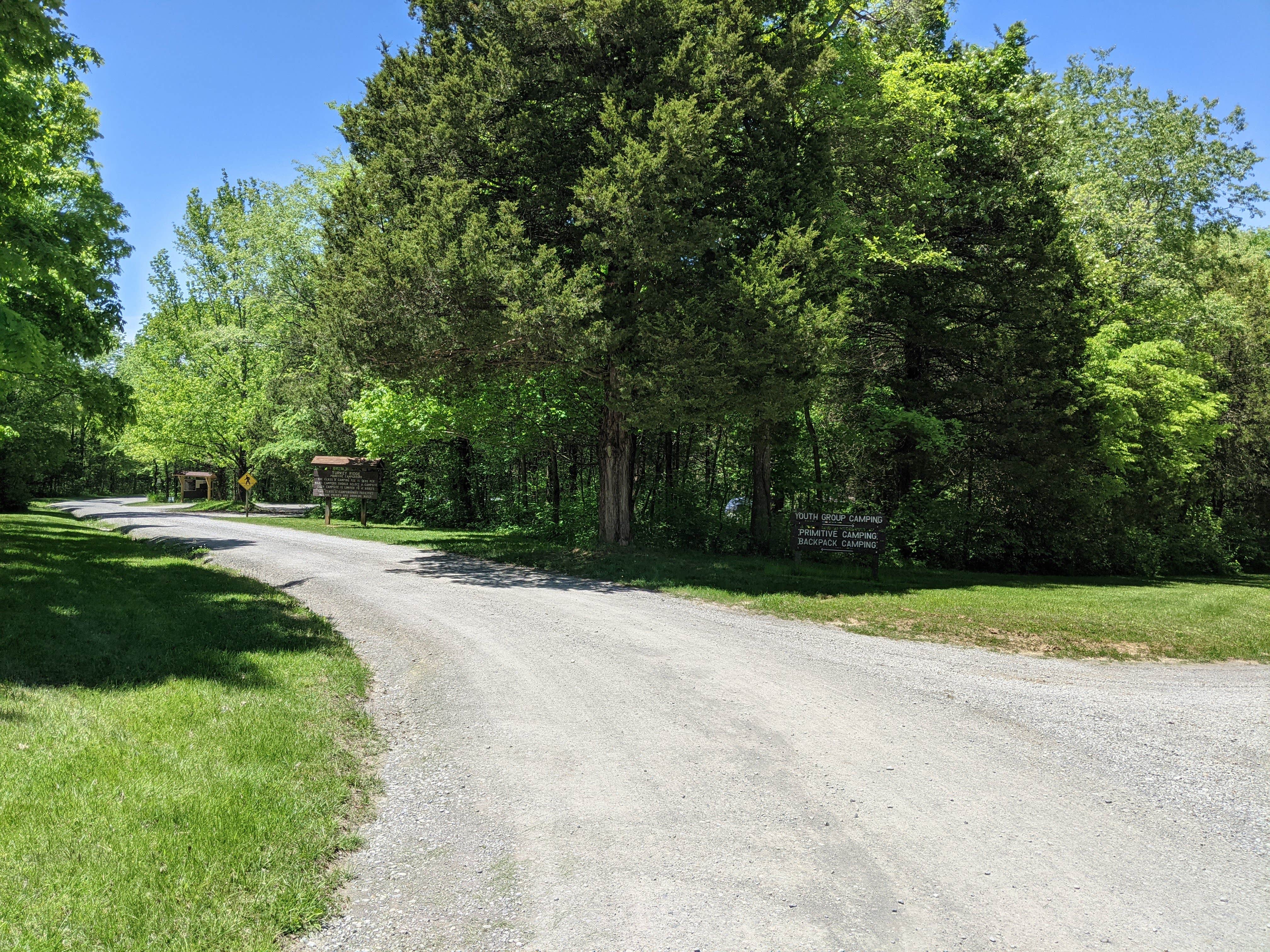 Camper submitted image from Group Campground — Ferne Clyffe State Park - 3