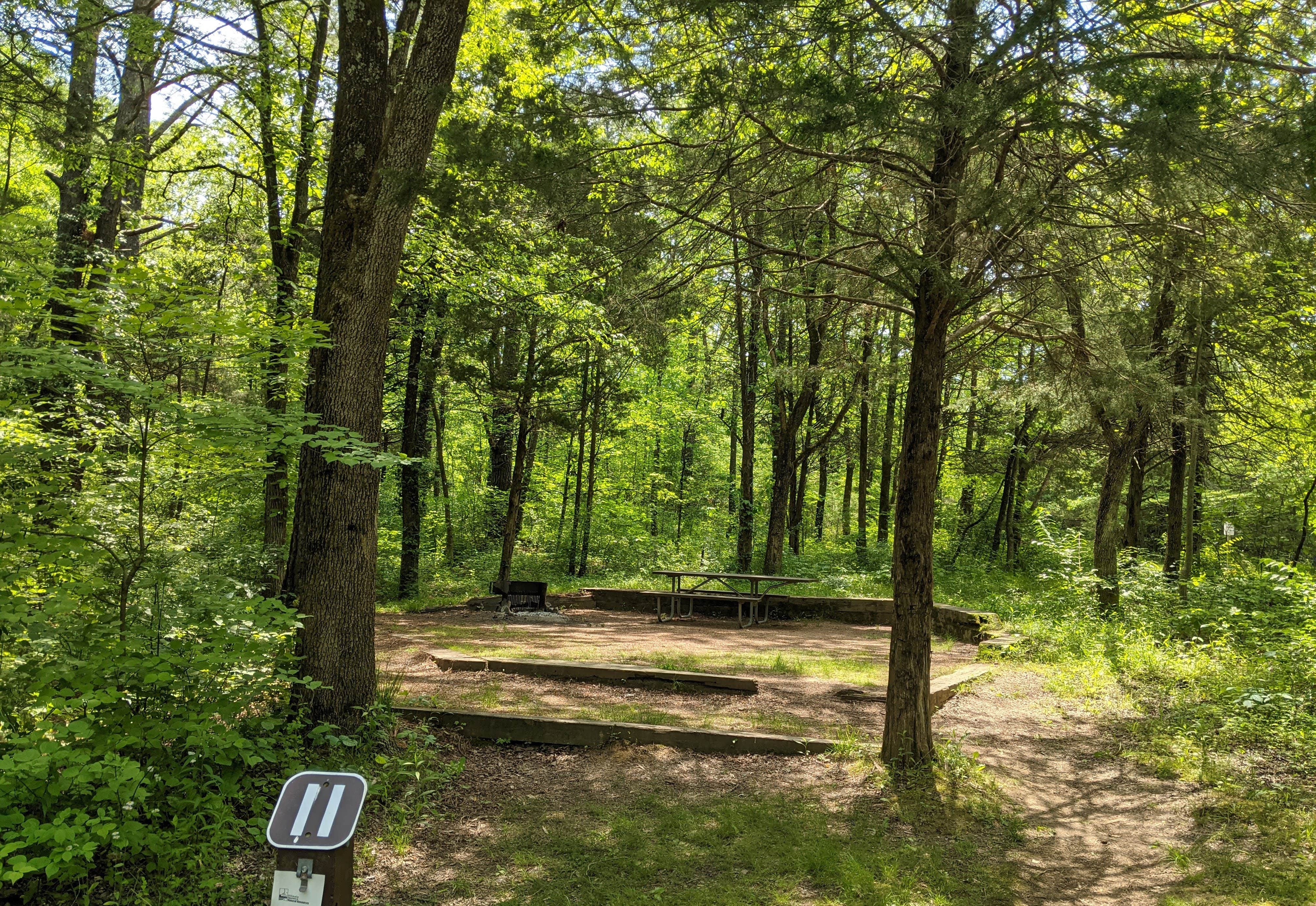 Camper submitted image from Group Campground — Ferne Clyffe State Park - 3