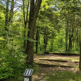 Review photo of Group Campground — Ferne Clyffe State Park by Aaron B., July 13, 2021